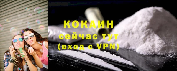 стафф Осинники