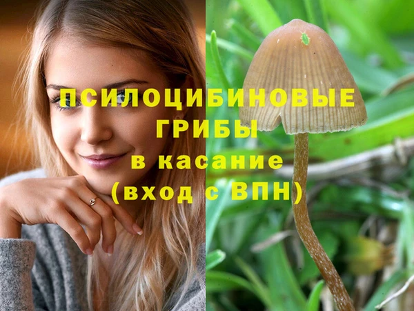 Альфа ПВП Остров
