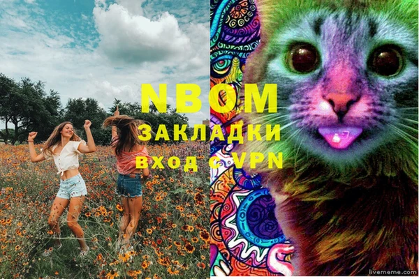 стафф Осинники