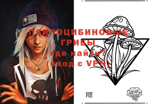 стафф Осинники