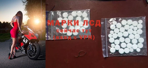 стафф Осинники