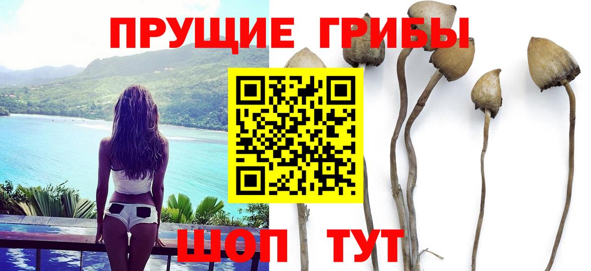 Рузаевка  Галлюциногенные грибы мухоморы  Псилоцибиновые грибы Cubensis  Вход с VPN 