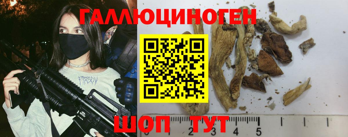 Псилоцибиновые грибы GOLDEN TEACHER  купить   Псилоцибиновые грибы GOLDEN TEACHER  Рузаевка 